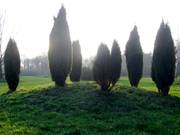 Sterbegeldversicherung